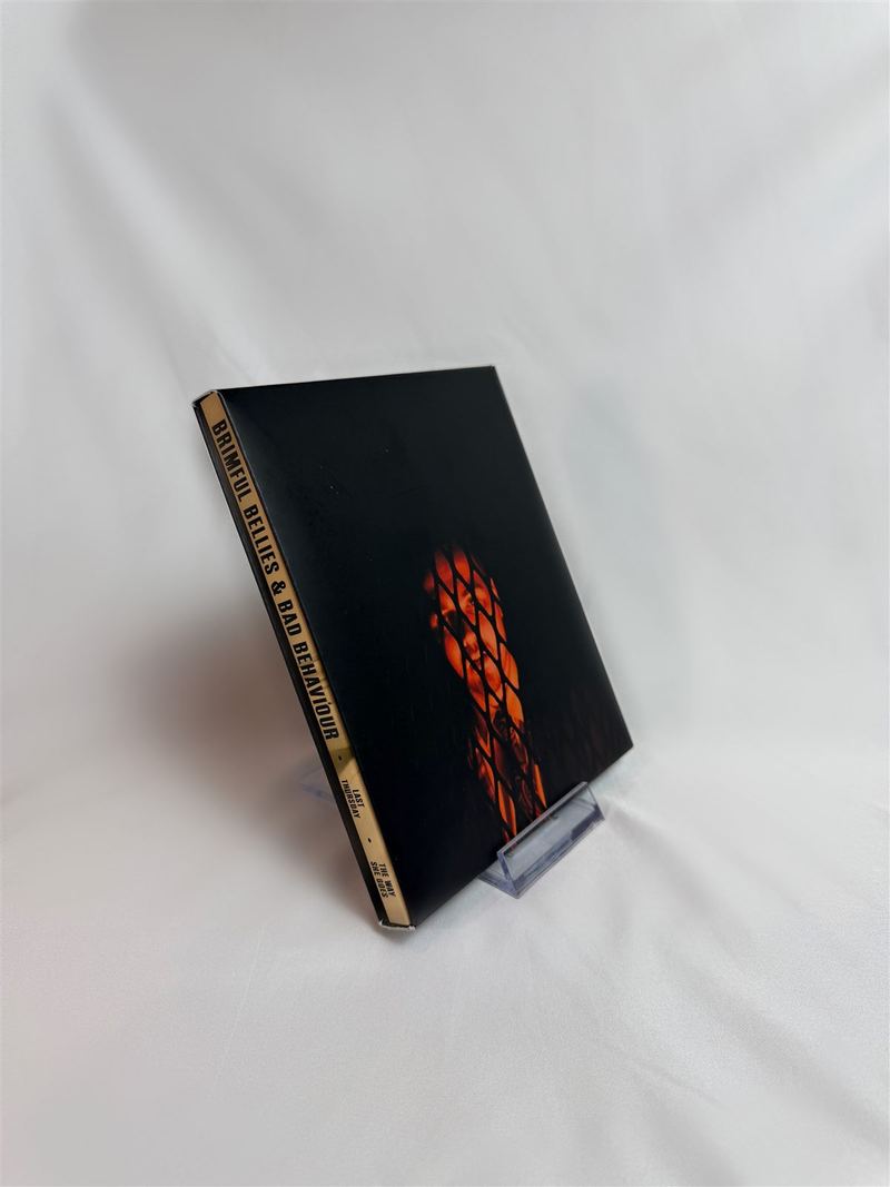 Detail of a finished disc case cover design